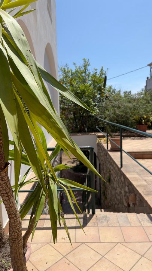 Villa La Zagara By Caprirooms Ngoại thất bức ảnh